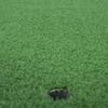 Portable Golf Mat Grass Pad Skill Tool Training Practicing 60*30cm