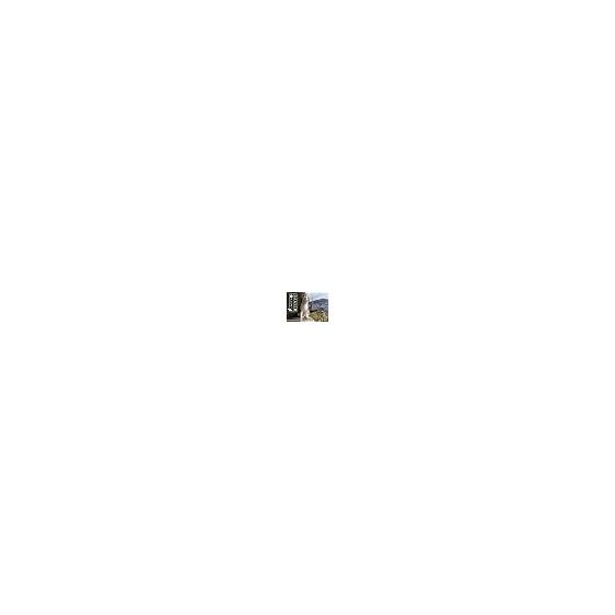 Town Cat Calendar 2026 (Wall Hanging) ([Calendar])