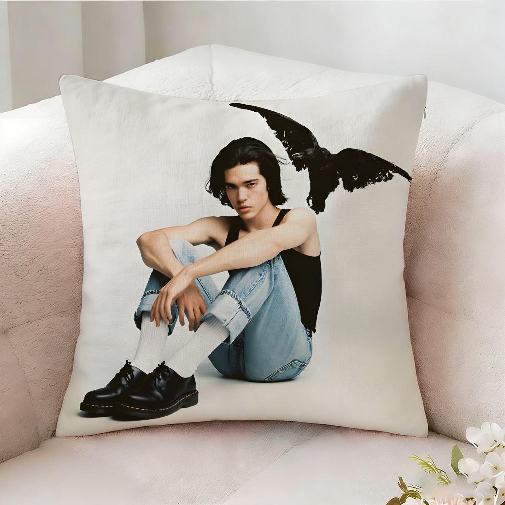 C-conan G-Gray Singer Pillow Case Pillowcase, Double-sided Printed, Sofa Cushion, Bedroom Headboard Pillow