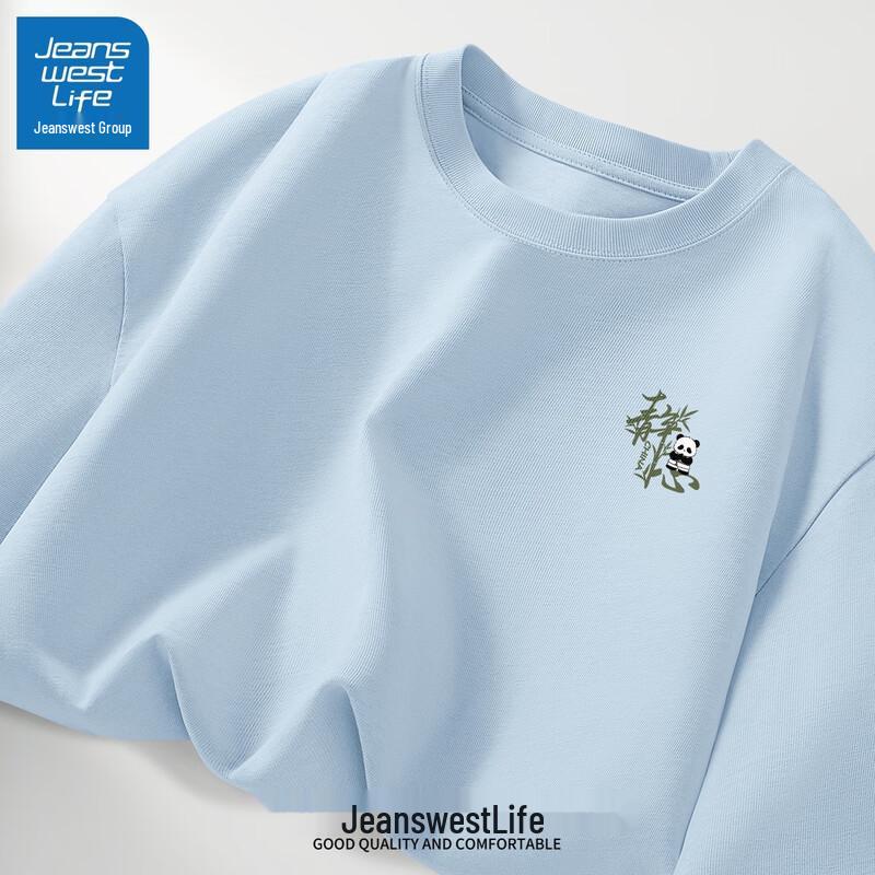 

JEANSWEST LIFE Men s Heavyweight Pure Cotton Casual T-Shirt XL