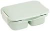 Lunch Separate Dishwasher Microwave Made In Sepia Box, Antibacterial, Type, 1-Tier, 500ml, Safe, Safe, Japan, Green, PTLBS5AG-A
