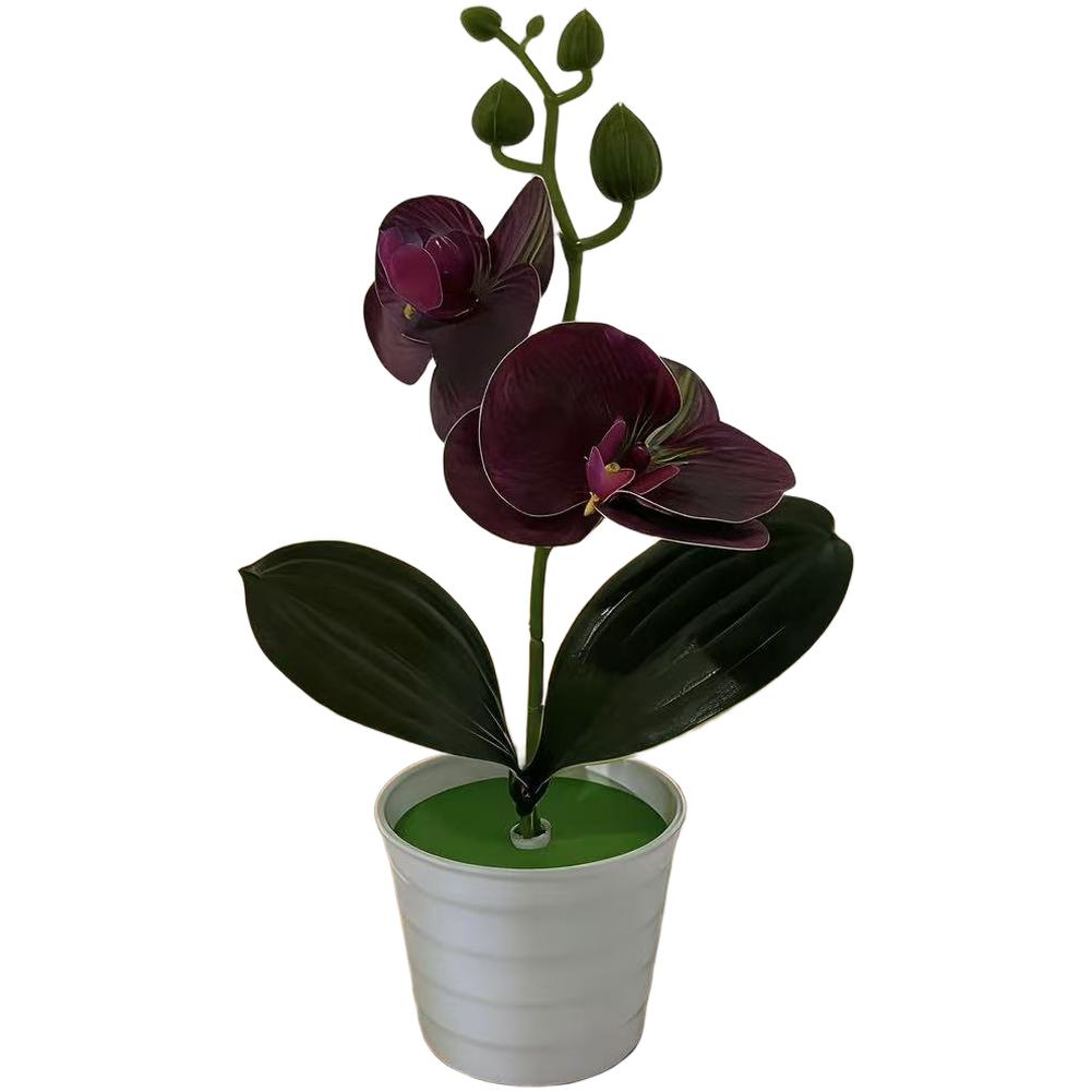 

Fake Phalaenopsis Orchid in Decorative Pot for Indoor Spaces Living Room Office Bedroom Tabletop Shelf Styling