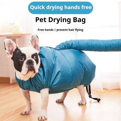 Köpek – Köpek bakım ürünleri
