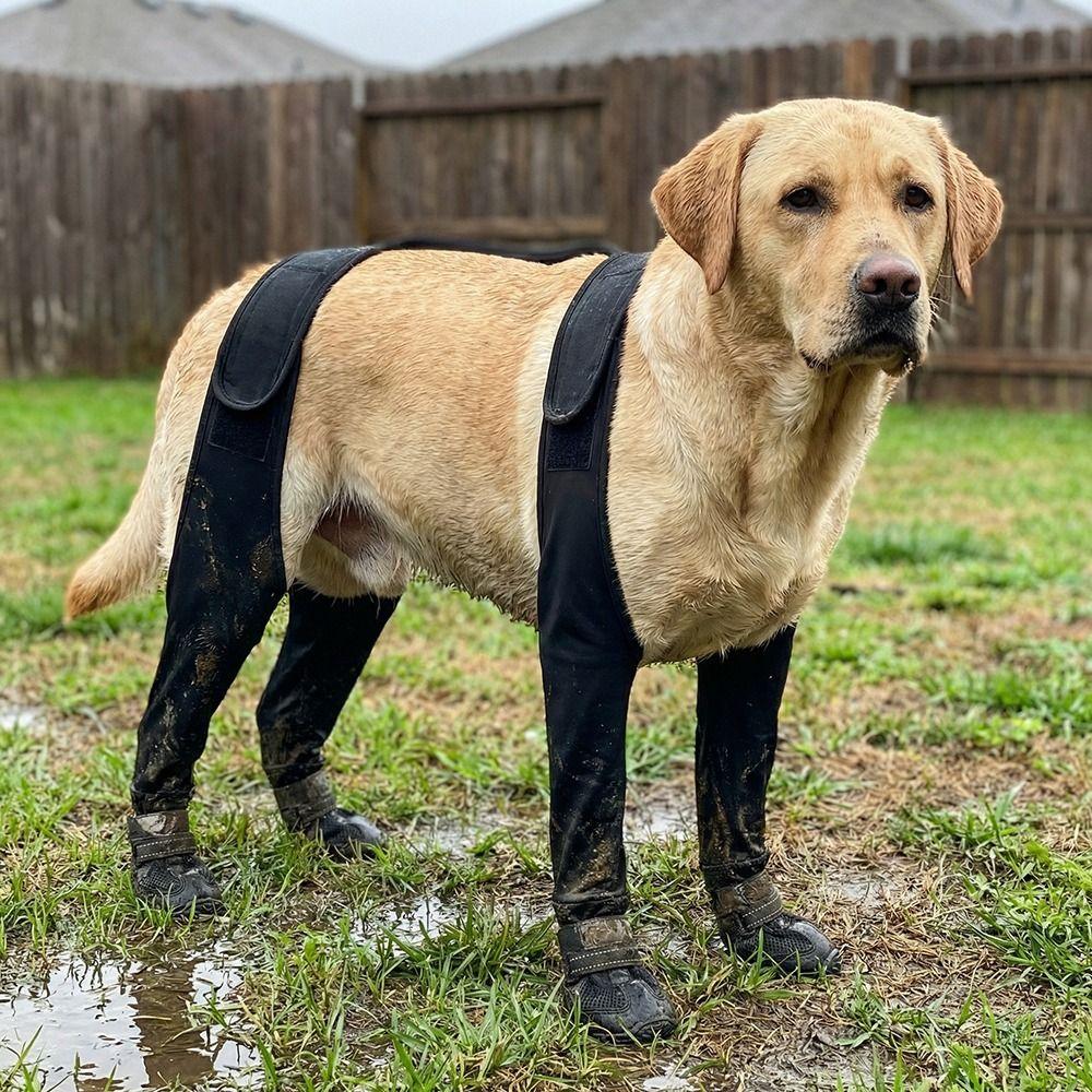 Waterproof Pet Paw Protectors Adjustable Paw Protective Footwear Dog Suspender Boots  Going Out