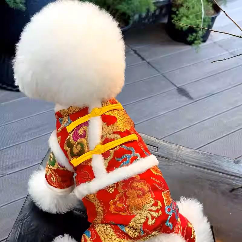 Golden Dragon Auspicious Clouds Dog Clothes - Autumn/Winter Four-Legged Cotton Outfit for Small Breeds like Teddy, Bichon, and Pomeranian.