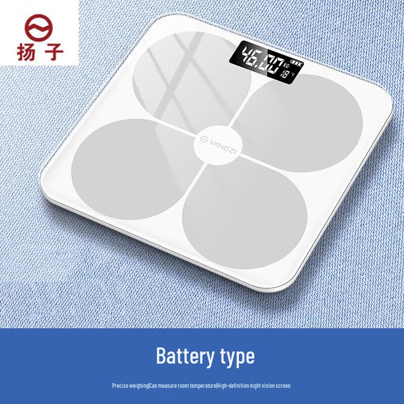 Yangzi C101 High Precision Digital Weight Scale