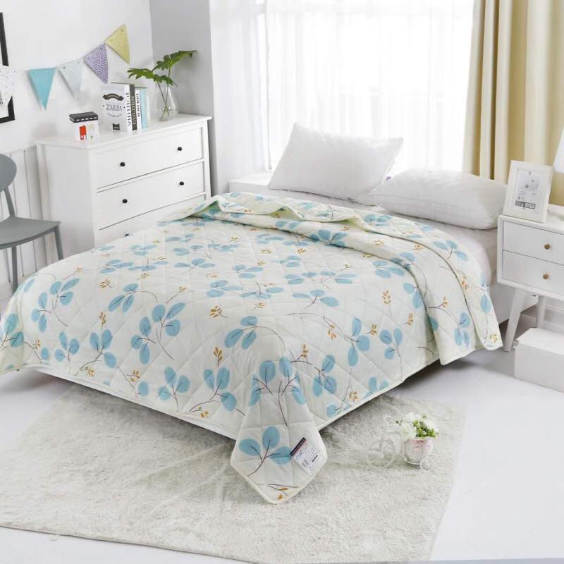 

Xiao Yue Ya Summer Cooling Quilt