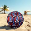 Crystal Palace Size 5 Football High Elastic Soccer Ball For Outdoor Competition Daily Training Play