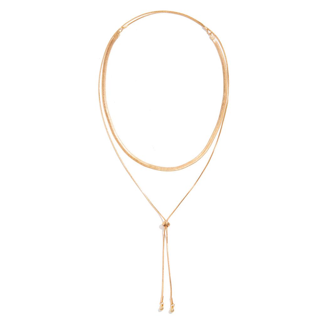 Accessories Hip Hop Simple Snake Bone Chain Collarbone Chain Chocker French Niche Metal Chain Necklace