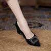 Fashion Heel Shoes for Women 2025 New Spring Autumn Pointed Toe pumps Bling Diamond Thick Heel Fashion Shallow Lady Shoes Women Heels