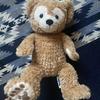 [USED] Teddy Bear (doll)