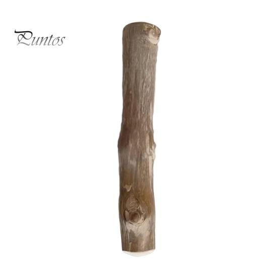 Wood Dog Chew Stick Natural Wooden Bones Dog Teeth Cleaning Toy Dental Health Care Stick Organic Pet Chews for Dogs