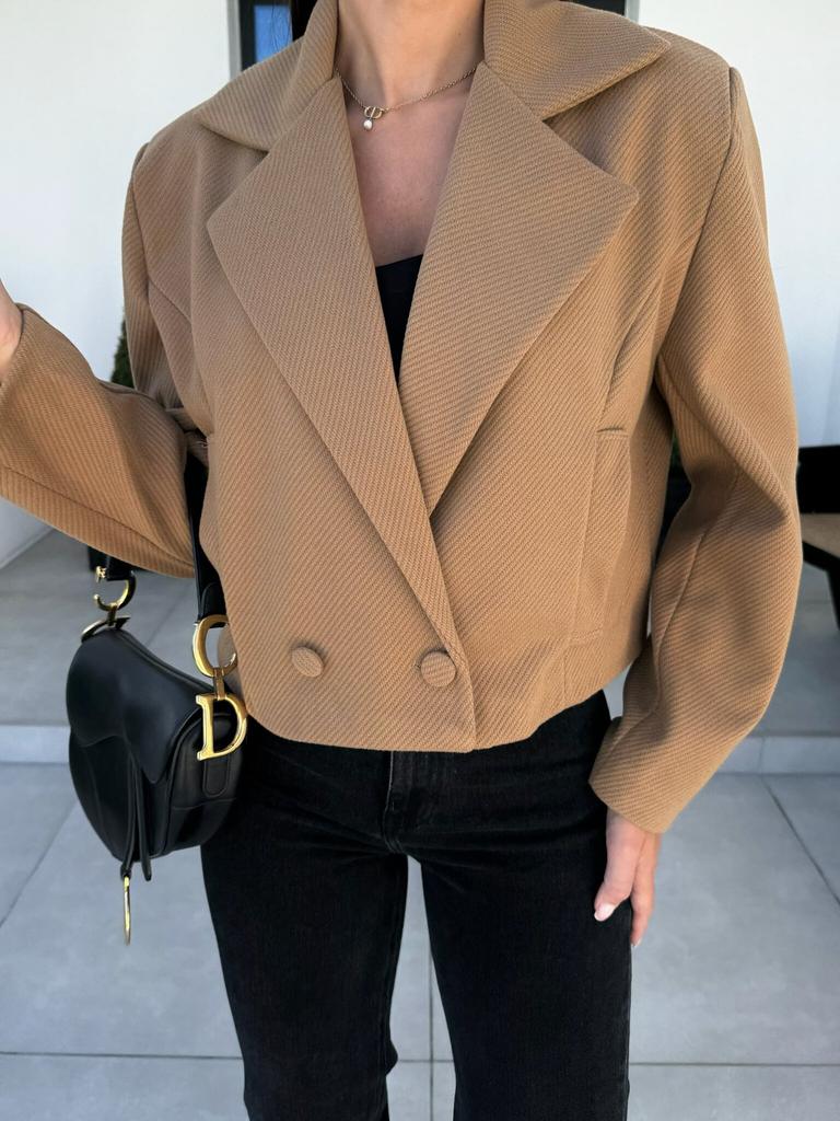 New, autumn and winter fashion British suit collar solid color woolen small coat women's clothing