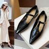 Retro Pointed Mary Jane Shoes Women's 2025 Autumn New Niche T-buckle with Small Leather Shoes Versatile Flat Shoes