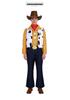 Children's Day Halloween Cosplay: Toy Story 4 Woody & Jessie Costume