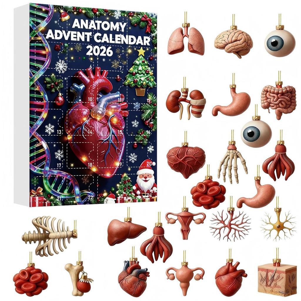 2026 Human Anatomy Christmas Advent Calendar Blind Box 24 Organ Pendants Interesting Blind Box for Medical Enthusiasts