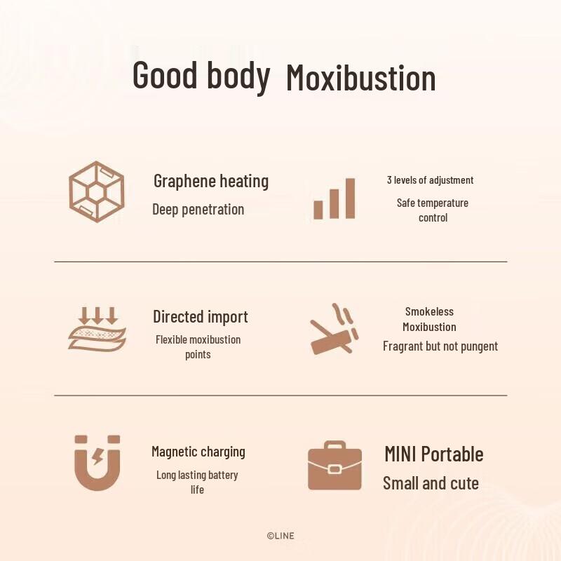 OGAWA Portable Electric Moxibustion Device CN Plug (adapter Included)