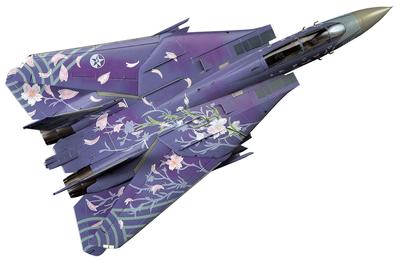 Hasegawa Avioane din seria Tomcat Ace Combat Sakura SP291 1/72 F-14D