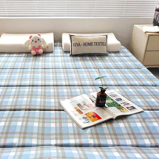 WTEMPO Soft Home Double-sided Bed Mattress Plaid Printed Thickened Single/Double Mattress Cushion Quilts Warm Winter Single Student Dormitory Mattress