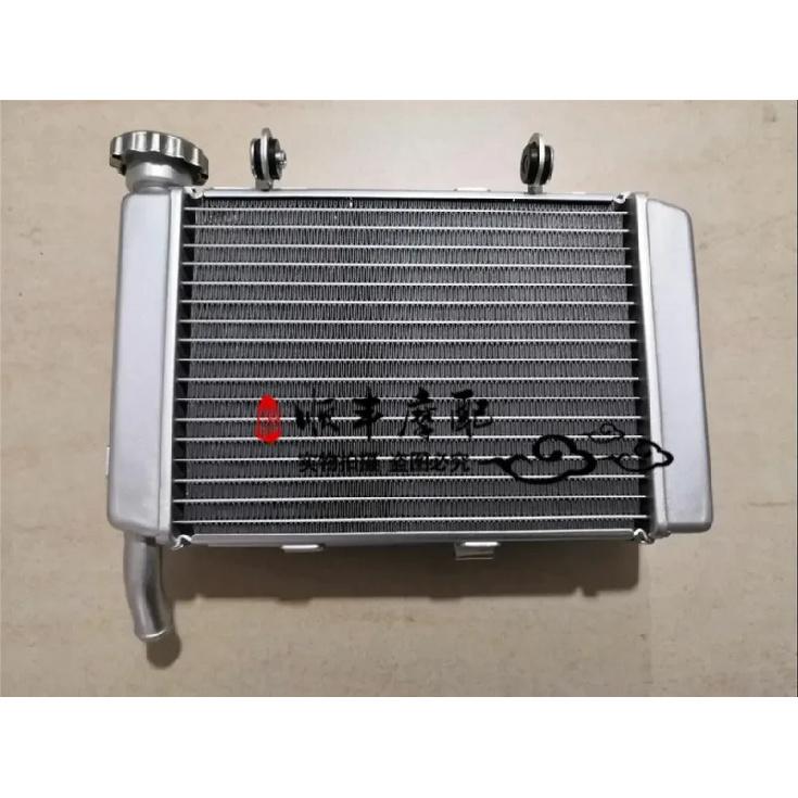 Radiator water cooling system water cooler of Benelli TNT250 BJ 250-15 15A 15E Benelli water tank