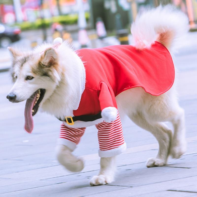 Sun Yat-sen University's Christmas Dog and Cat Clothes, Dog Pets, Autumn and Winter Fleece and Funny Cat, Two-legged Golden Retriever Transformed