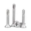Steel Drill Tail Self-Tapping Screws