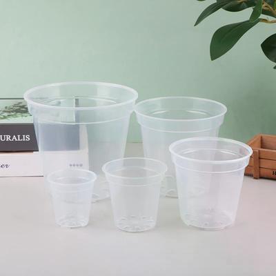 Bahçe Saksıları ve Kutuları – Fide viyolleri