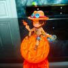 Anime One Piece Devil Fruit Robin Ace Luffy Nico Night Light Figure Model Figure Desktop Ornament Christmas Gifts Trendy Toys