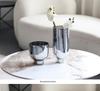 Electroplated Silver Glass Flower Vase - Modern Minimalist Tabletop Decoration for Living Room & Showroom.