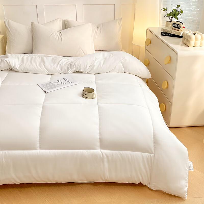 Pugu Nal Series All-Season Soft Warm Duvet Insert