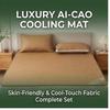 Wormwood Ice Silk Cooling Mat 3-Piece Set Washable Fitted Sheet for Home Dorm Summer