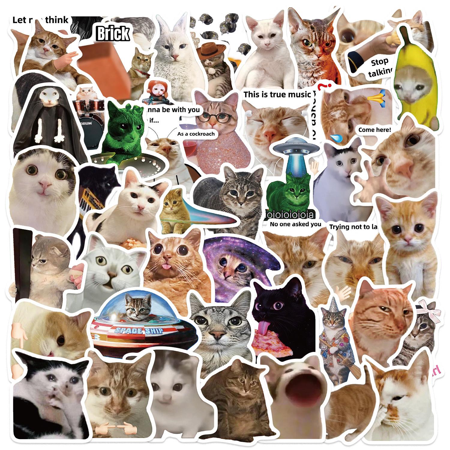 

50pcs Cute Cat MEME Stickers Waterproof Funny Graffiti for Phone Laptop Guitar Cup Kids Toy