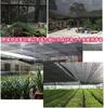 Chen Yang Xiaoten Sunshade Sunshade Netting for and Made of Thick Polyethylene and UV Resistant Netting, 3M4M, Black, Agriculture, Plants, Gardening,