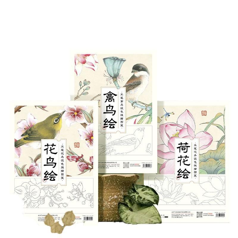 Einführung in die chinesische Malerei: Weißzeichnung, Linienzeichnung, Entwurf, sorgfältige Zeichnung, Manuskriptkopie, Malerei, Kolorierung, Zeichenpapier