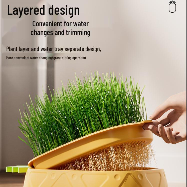 Cat Grass Hydroponic Kit: Wheatgrass Catnip Snacks for Hairball Relief
