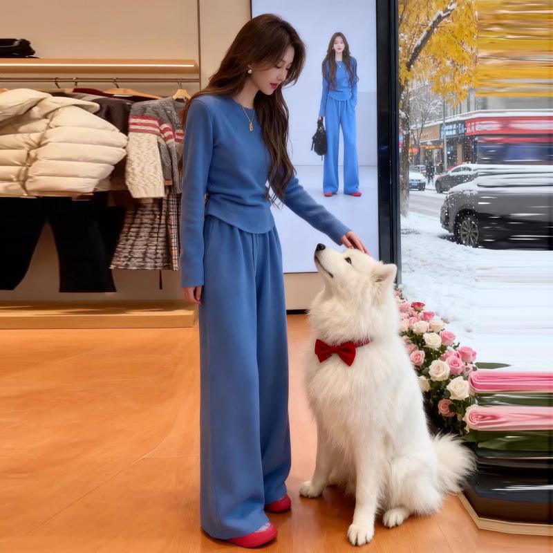

Women s High-End Korean Style Blue Hoodie and Wide-Leg Pants Two-Piece Set for Autumn/Winter Medium