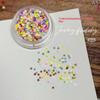 Decorazione Manicure 1 Scatola Paillettes a Stella Nail Art Glitter Colorati a Cinque Punte per Design Unghie Fai da Te