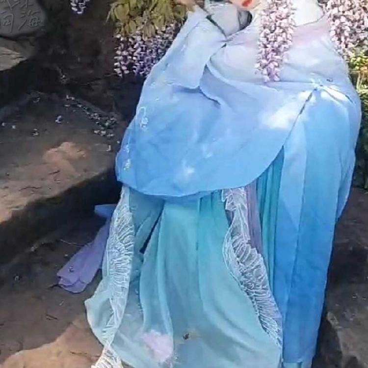 Châle en Dentelle Aile de Papillon Fille Costume Ancien Chinois Foulard Châle de Soirée