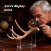 Antler Mount No Drilling 4-Piece Holder Shelf Acrylic Display Stands For Tabletop Wall Collection Desk Room Christmas Craft Show