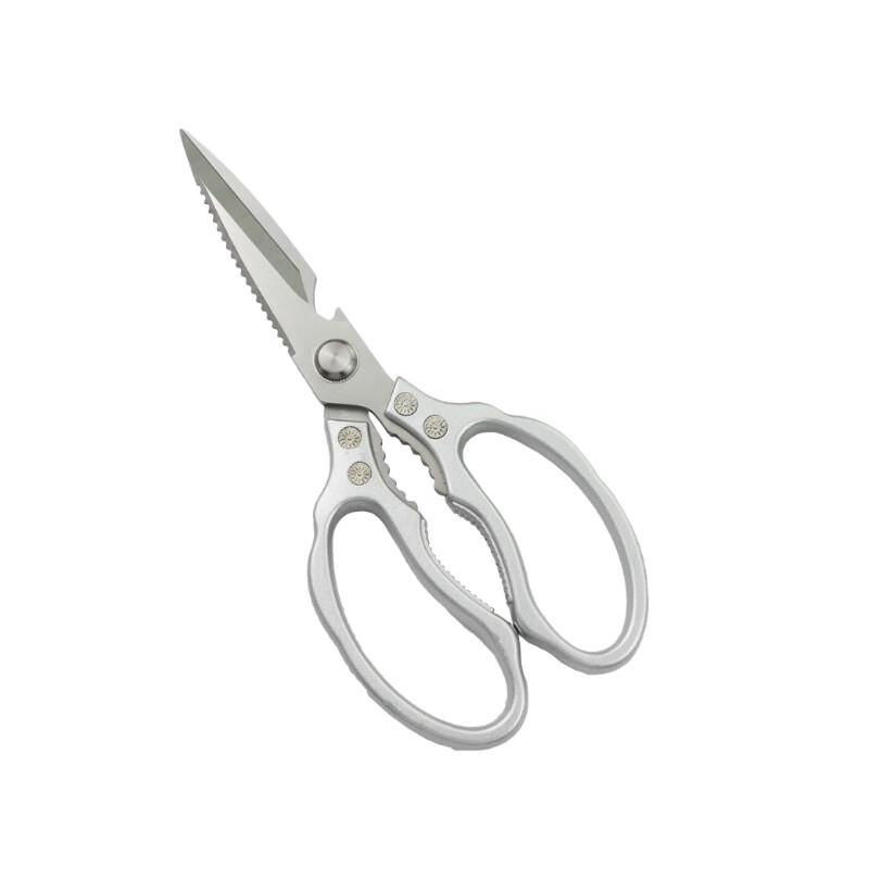 Stainless Steel Scissors