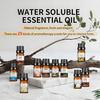 Plant Essential Oil for Diffuser Humidifier 10ml Water Soluble Aroma