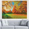 2D Bright Autumn Backdrop, Fall Forest Maple Trees Background for Outdoor Themed Events