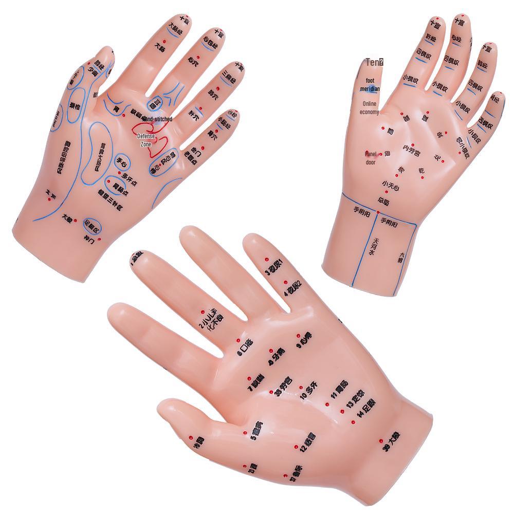 Diagrama Reflexologiei Piciorului, Urechii și Mâinii - Ghid de Masaj Acupuncte și Meridiane