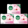 Dettol Nourishing & Protecting Soap