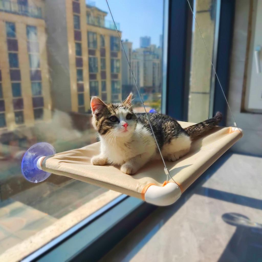 Wandmontierte Glas-Katzenhängematte - Universelles Vier-Jahreszeiten-Katzenbett mit Saugnäpfen