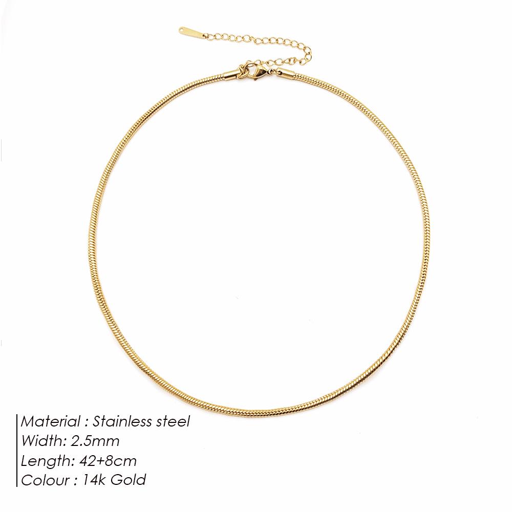 eManco Titanium Steel Round Chain Necklace - Simple European/American Style for Women and Couples, Long Snake Bone Chain, Clavicle Design.