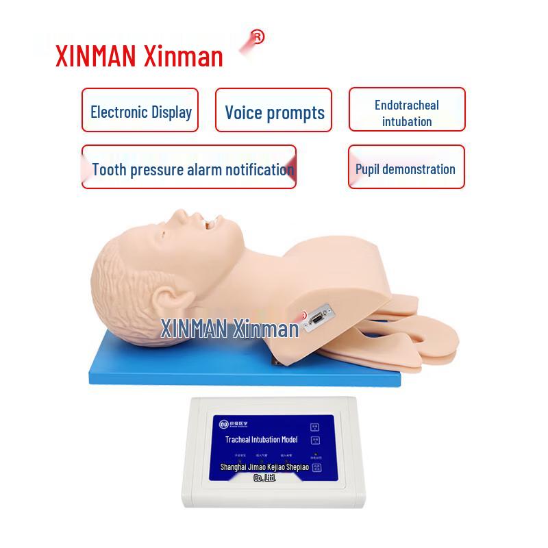 XINMAN Electronic Human Tracheal Intubation Training Model