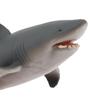 2pcs SHARK Sealife Toy Model Animal Figure - 22cm Solid Plastic