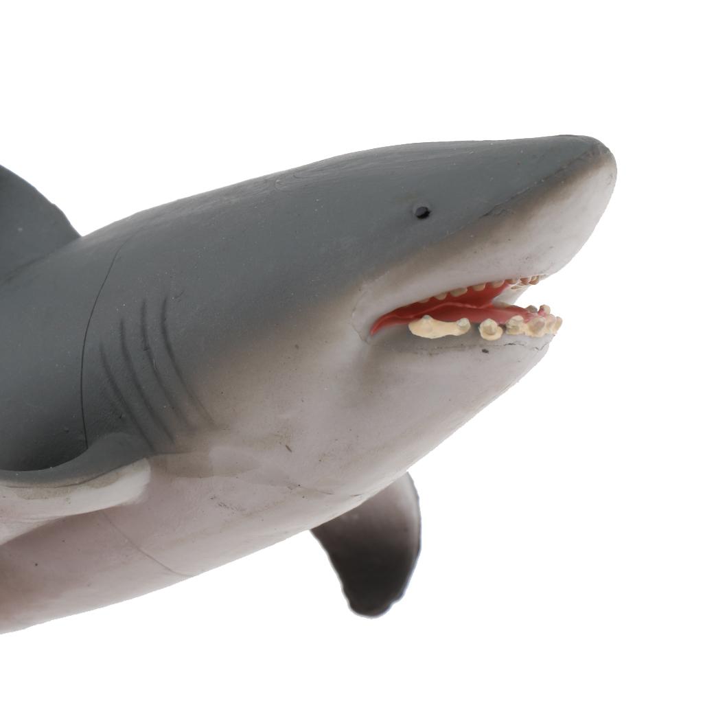 2pcs SHARK Sealife Toy Model Animal Figure - 22cm Solid Plastic
