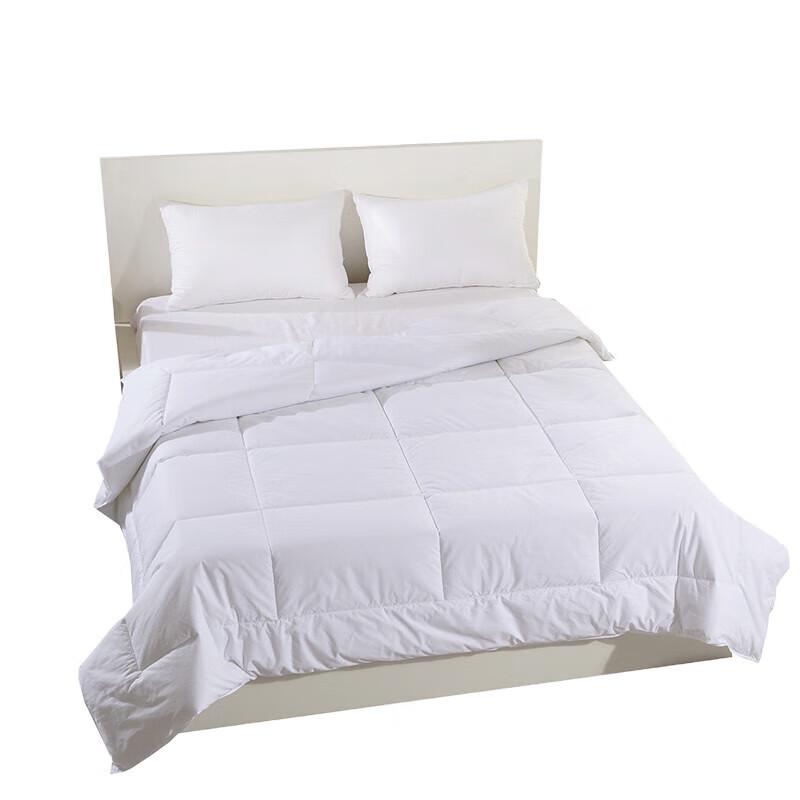 Churing Lightweight Summer Duvet Insert